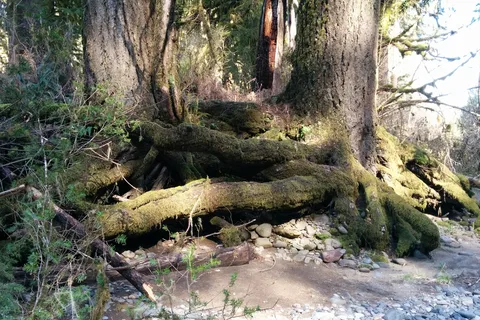 Cascadia State Park