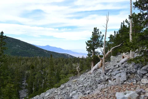 Whealer Peak Campground - Great Basin National Park