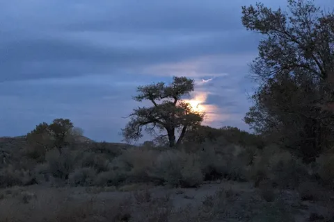 River Camp - Lahontan State Recreation Area