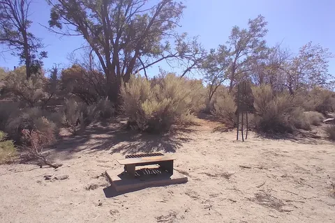 River Camp - Lahontan State Recreation Area