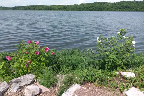 Area 3/4 - Hueston Woods State Park