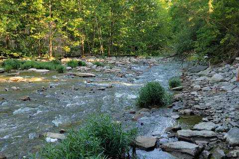 Area 3/4 - Hueston Woods State Park