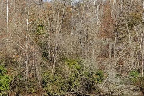 Area 3/4 - Hueston Woods State Park
