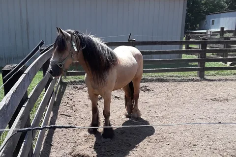 Bens Happy Trails Horsemens Camp