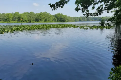 Shad Landing - Pocomoke River State Park