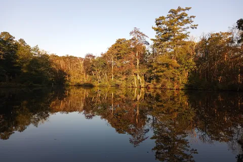 Shad Landing - Pocomoke River State Park
