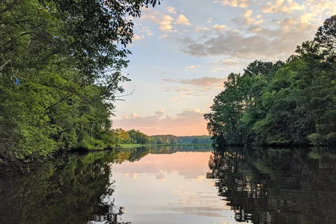Shad Landing - Pocomoke River State Park