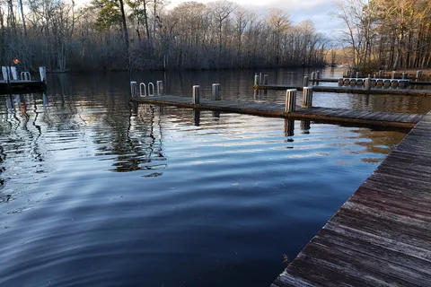 Shad Landing - Pocomoke River State Park