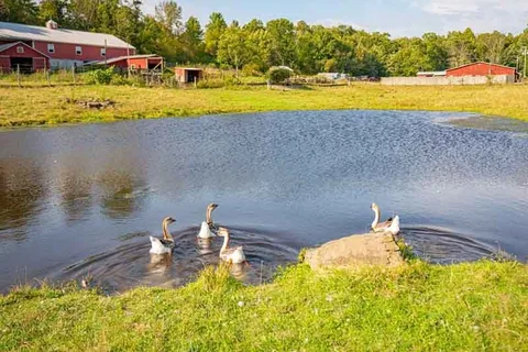 Sun Retreats Pleasant Acres Farm