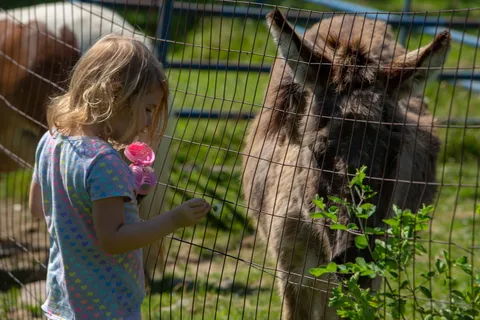 Sun Retreats Pleasant Acres Farm
