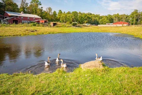 Sun Retreats Pleasant Acres Farm