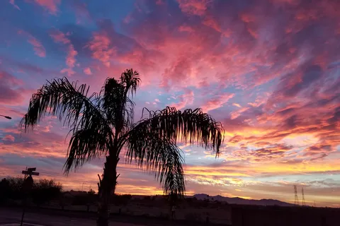 Quail Ridge RV Resort, ARIZONA