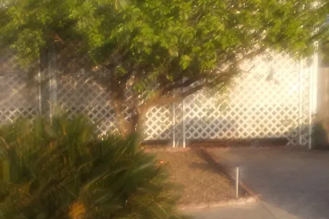 Lazy Palm Ranch