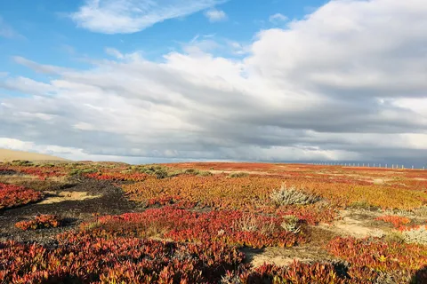 Marina Dunes RV Park