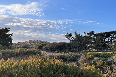 Marina Dunes RV Park