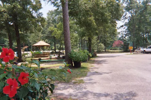 Baton Rouge KOA Holiday