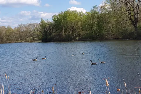 Fort Custer Recreation Area