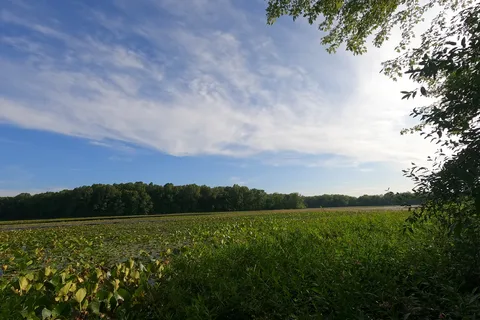Fort Custer Recreation Area
