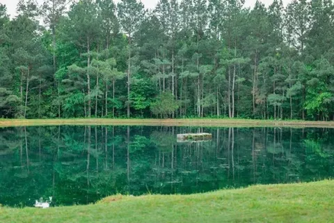 Cullman Campground
