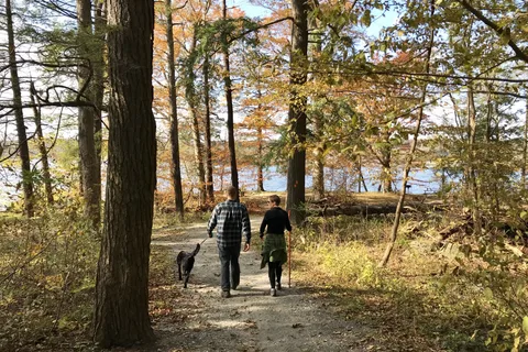 Swartswood State Park