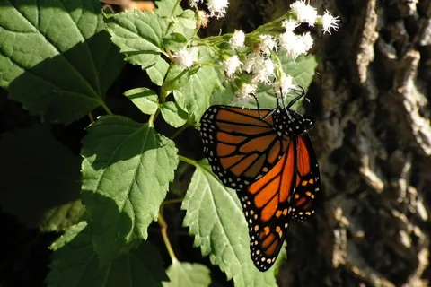 Swartswood State Park