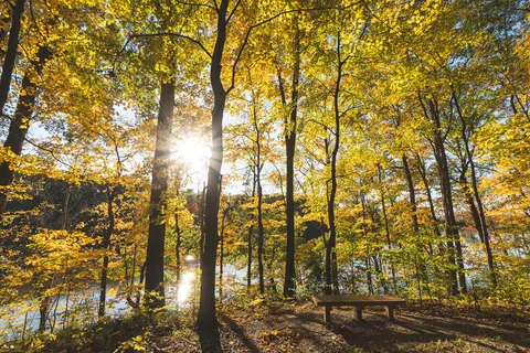 Prairie Creek Park