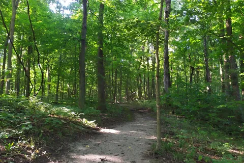 Prairie Creek Park