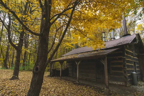 Prairie Creek Park