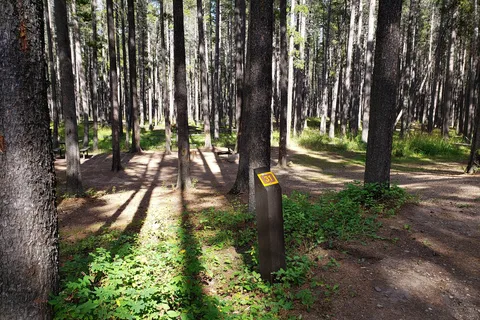 Centre Block - Cypress Hills Interprovincial Park - Alberta