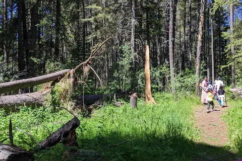 Centre Block - Cypress Hills Interprovincial Park - Alberta