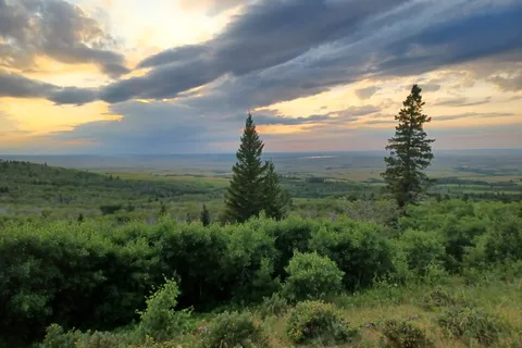 Centre Block - Cypress Hills Interprovincial Park - Alberta
