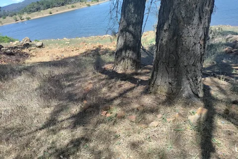 Collins Lake Recreation Area