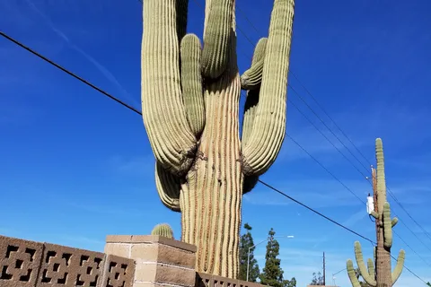 Mesa Spirit RV Resort
