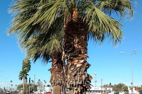 Mesa Spirit RV Resort