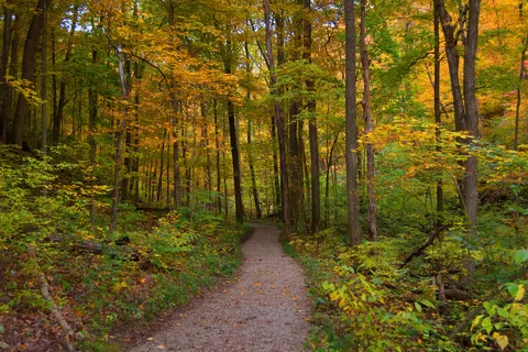 Fox Ridge State Park
