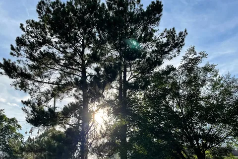 Natchez Trace RV Park