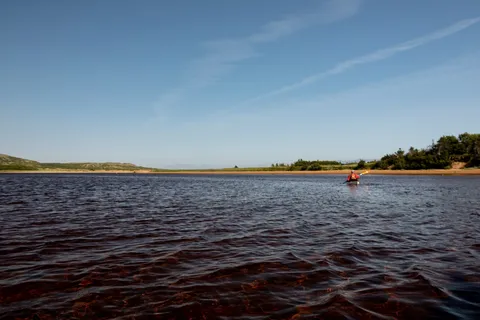 Pinware River Provincial Park