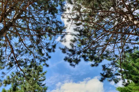 Bear Lake Campground