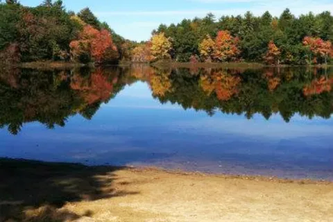 Pine Acres Resort