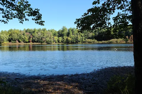 Pine Acres Resort