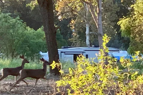 Riverbend RV Park