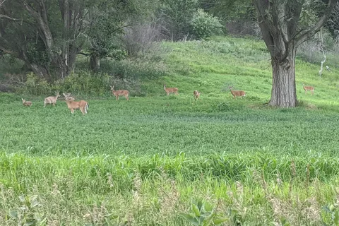 Main - Waubonsie State Park