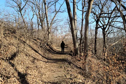Main - Waubonsie State Park