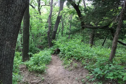Main - Waubonsie State Park