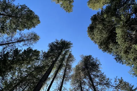 Mountain Shadows Campground