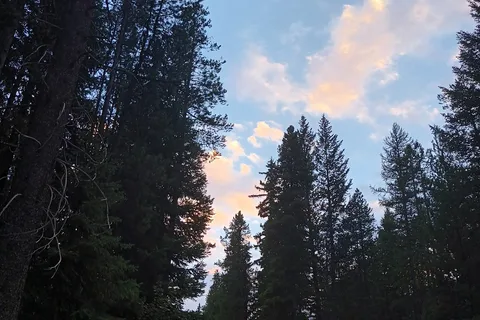 Mountain Shadows Campground