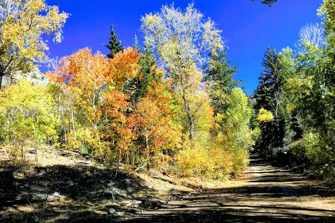 Pine Creek Cabins Resort