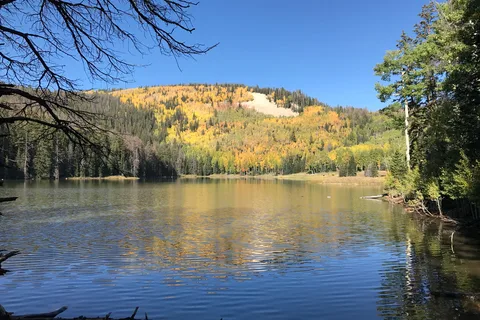 Pine Creek Cabins Resort
