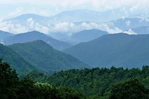 Mountain Stream RV Park