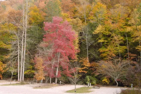 Mountain Stream RV Park